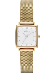 Наручные часы Skagen SKW2218