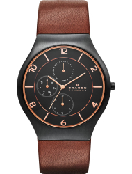 Наручные часы Skagen SKW6117