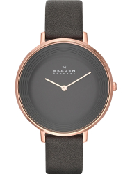 Наручные часы Skagen SKW2216