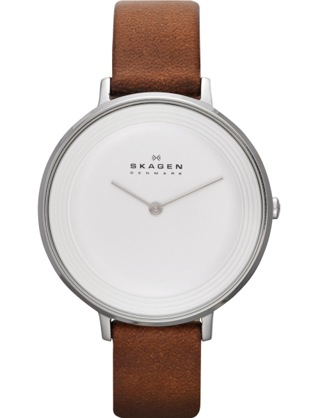 Наручные часы Skagen SKW2214