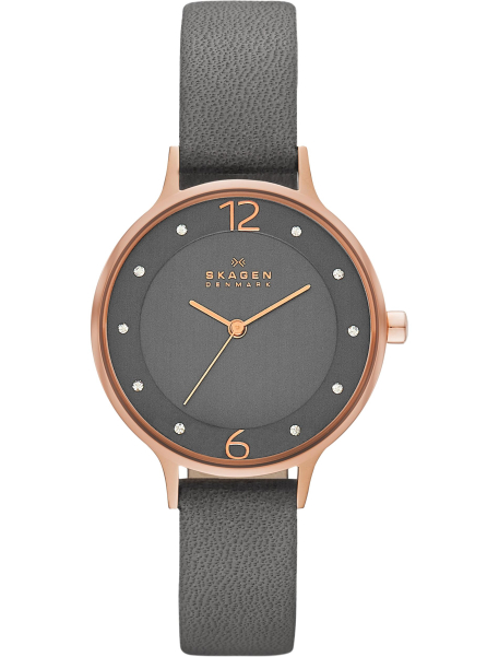Наручные часы Skagen SKW2267