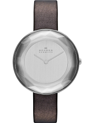 Наручные часы Skagen SKW2274