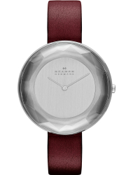 Наручные часы Skagen SKW2273