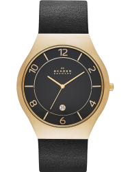 Наручные часы Skagen SKW6145
