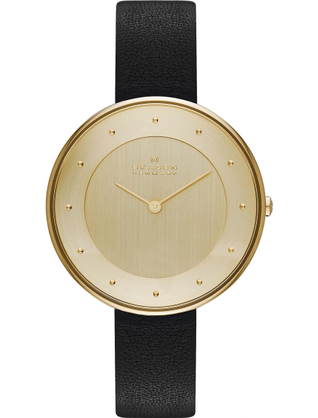 Наручные часы Skagen SKW2262