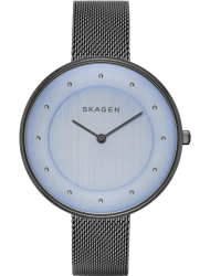Наручные часы Skagen SKW2292