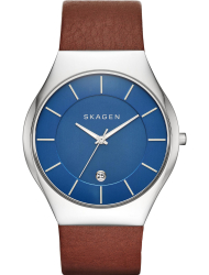 Наручные часы Skagen SKW6160