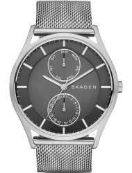 Наручные часы Skagen SKW6172
