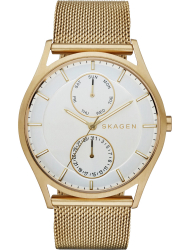 Наручные часы Skagen SKW6173