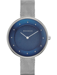 Наручные часы Skagen SKW2293