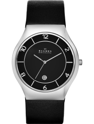Наручные часы Skagen SKW6115