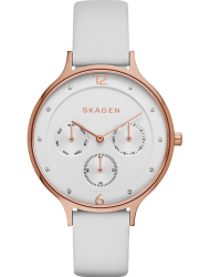 Наручные часы Skagen SKW2311