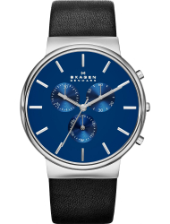 Наручные часы Skagen SKW6105