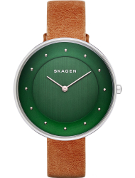 Наручные часы Skagen SKW2328