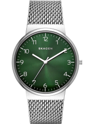 Наручные часы Skagen SKW6184