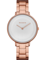 Наручные часы Skagen SKW2331