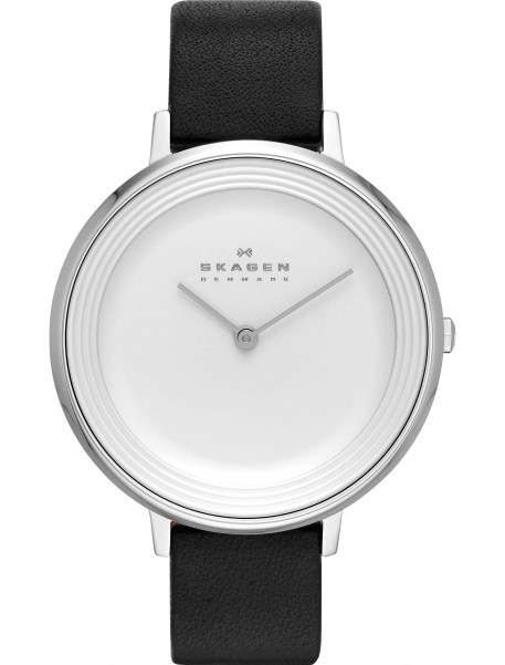 Наручные часы Skagen SKW2261