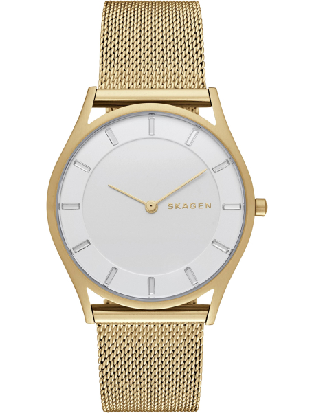 Наручные часы Skagen SKW2377