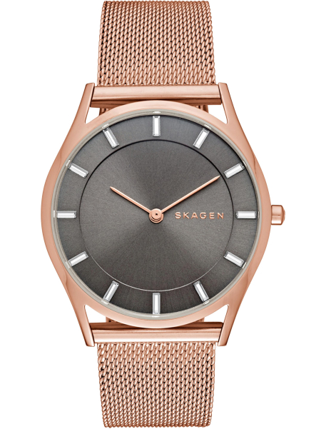 Наручные часы Skagen SKW2378