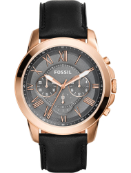 Наручные часы Fossil FS5085