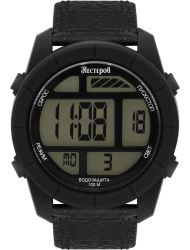 Наручные часы Нестеров H2578A38-0E