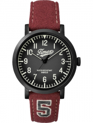 Наручные часы Timex TW2P83200