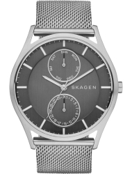 Наручные часы Skagen SKW1073