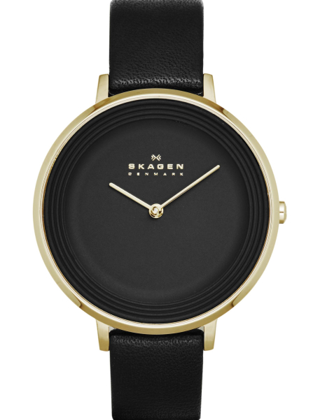Наручные часы Skagen SKW2286
