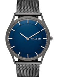 Наручные часы Skagen SKW6223