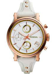 Наручные часы Fossil ES3947