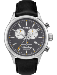 Наручные часы Timex TW2P75500