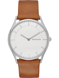 Наручные часы Skagen SKW6219