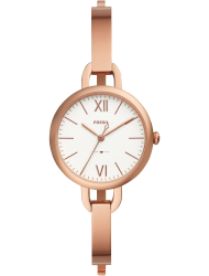 Наручные часы Fossil ES4391