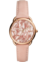 Наручные часы Fossil ES4419