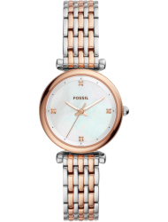 Наручные часы Fossil ES4431
