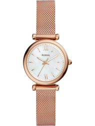 Наручные часы Fossil ES4433