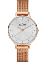 Наручные часы Skagen SKW2151