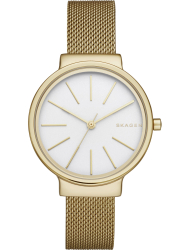 Наручные часы Skagen SKW2477