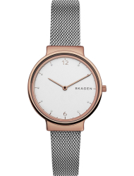 Наручные часы Skagen SKW2616
