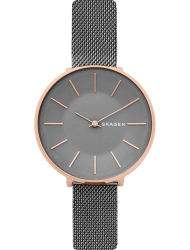 Наручные часы Skagen SKW2689