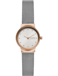 Наручные часы Skagen SKW2716
