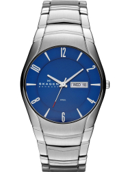 Наручные часы Skagen SKW6033