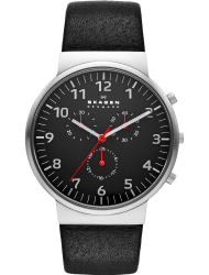 Наручные часы Skagen SKW6100