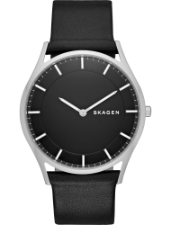 Наручные часы Skagen SKW6220