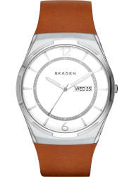 Наручные часы Skagen SKW6304